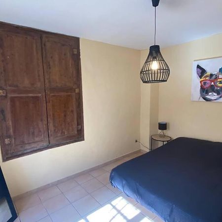 Hyper Centre Et Proche Cite Medievale Daire Carcassonne Dış mekan fotoğraf