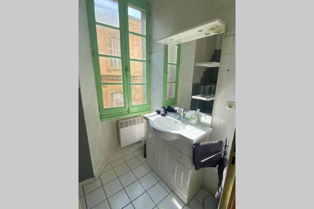 Hyper Centre Et Proche Cite Medievale Daire Carcassonne Dış mekan fotoğraf